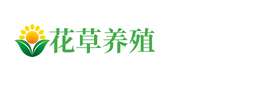 金沙所有游戏网站(中国)有限公司